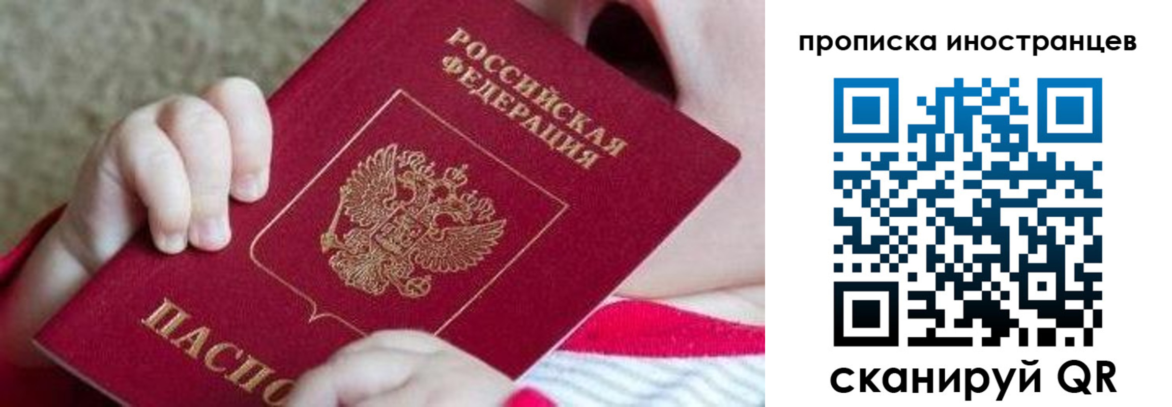 временная регистрация поиск в Камышине